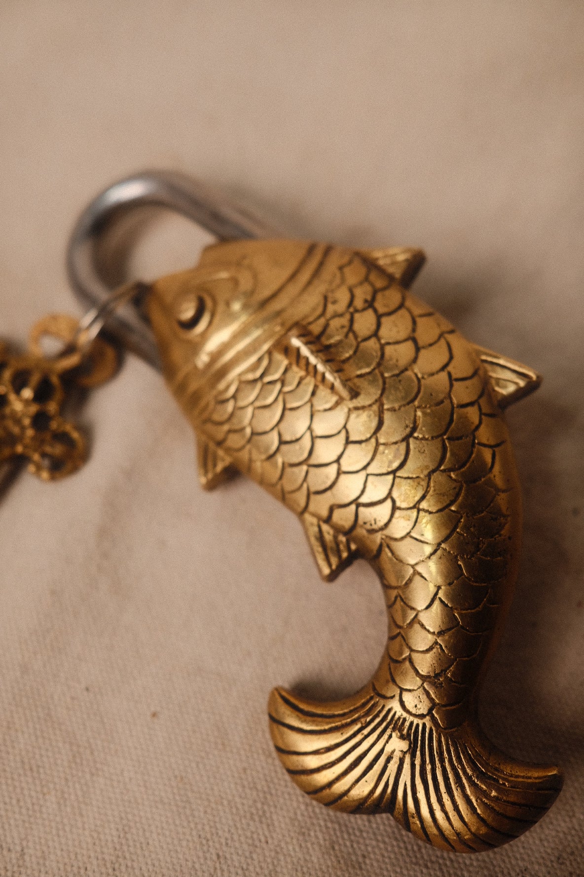 Gold Lock (Fish)