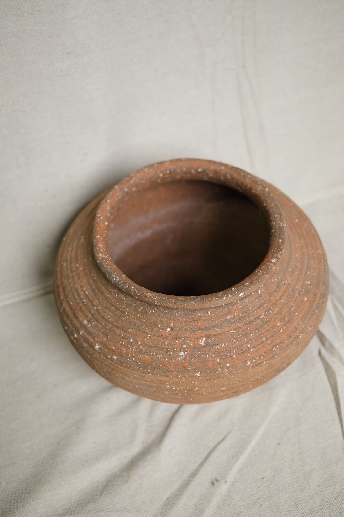 Cunmin Pot 2.0