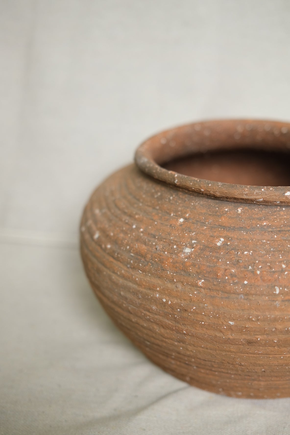 Cunmin Pot 2.0