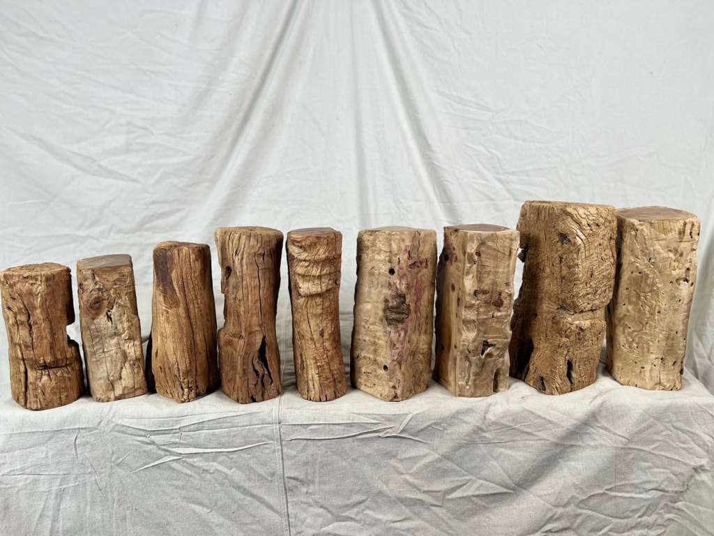 Wood Stump Stand