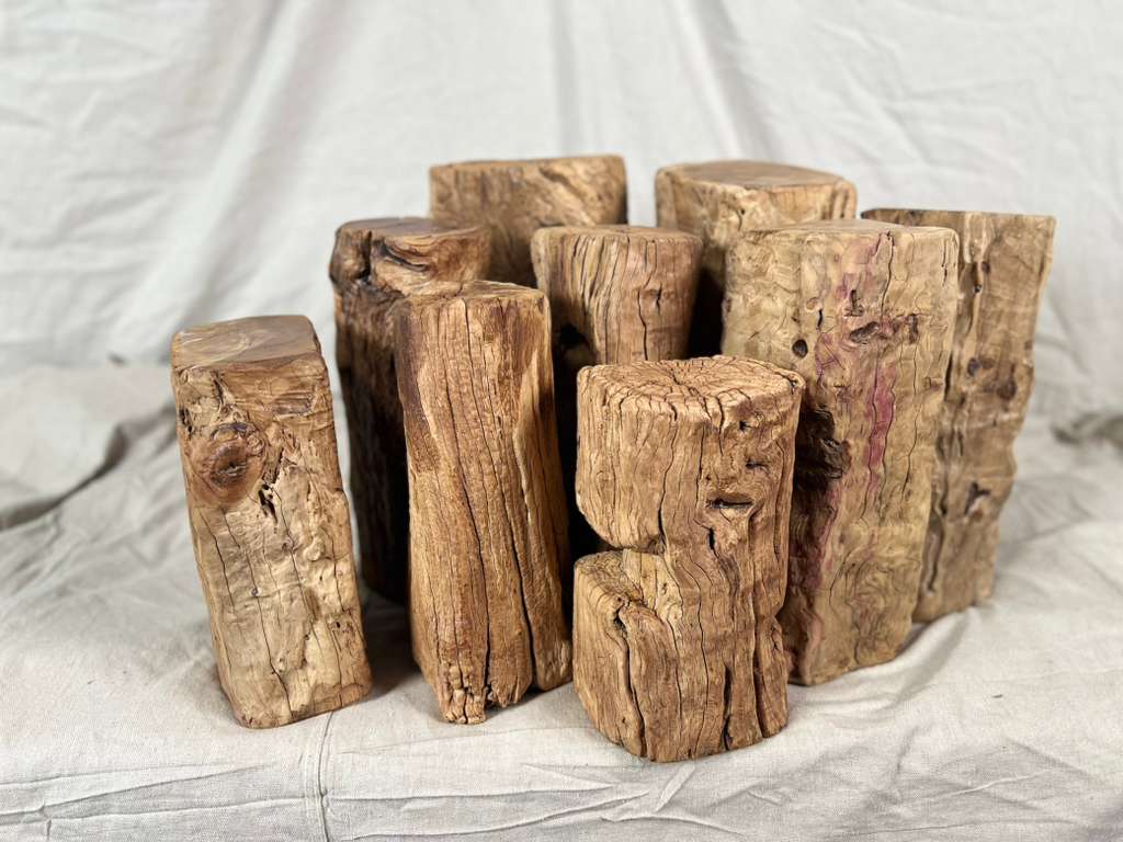 Wood Stump Stand