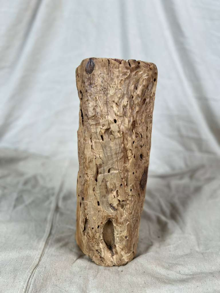 Wood Stump Stand