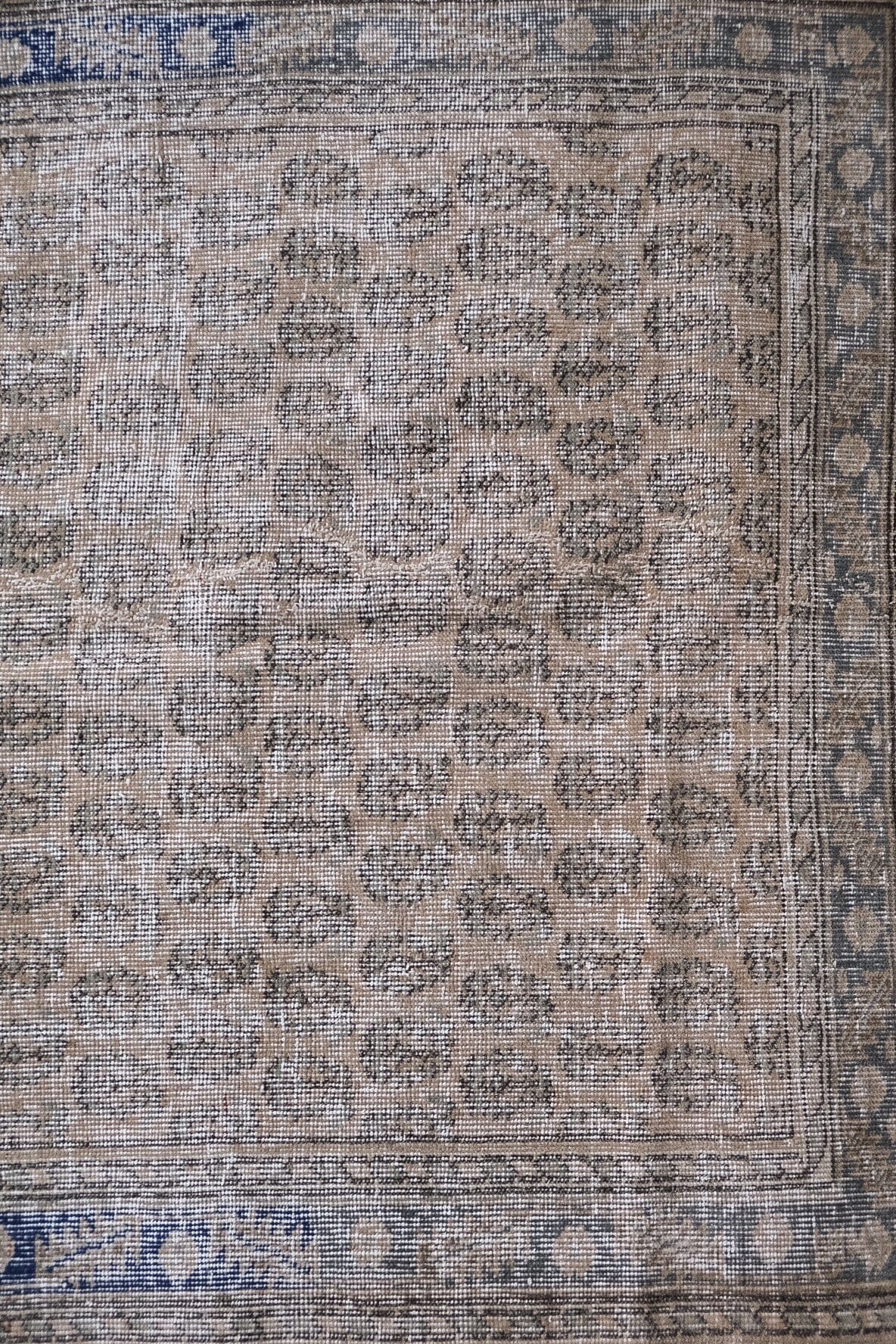 Mehmet (3.8 x 6.6) VINTAGE RUGS Twenty Third by Deanne