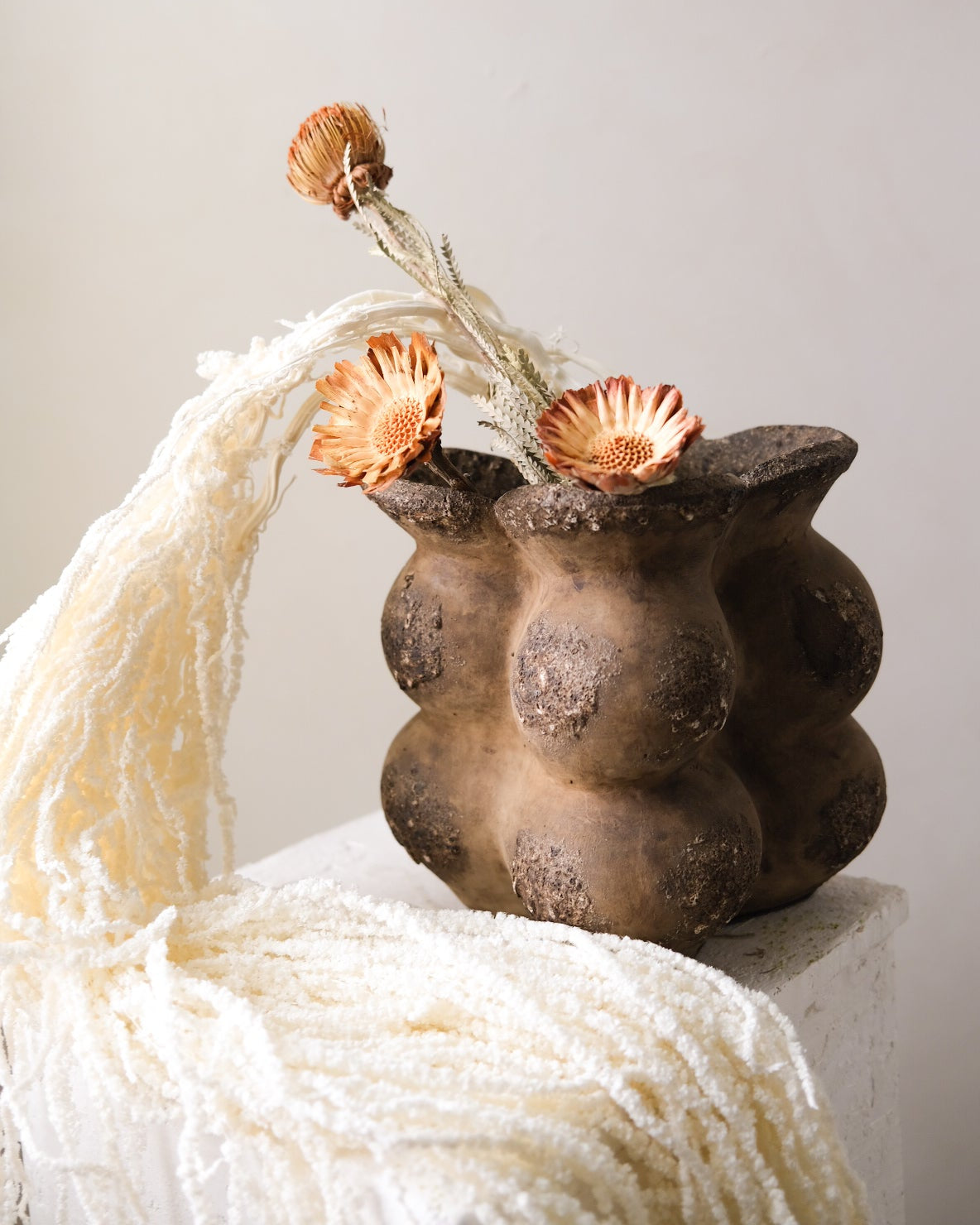 Dried Amaranthus (White)