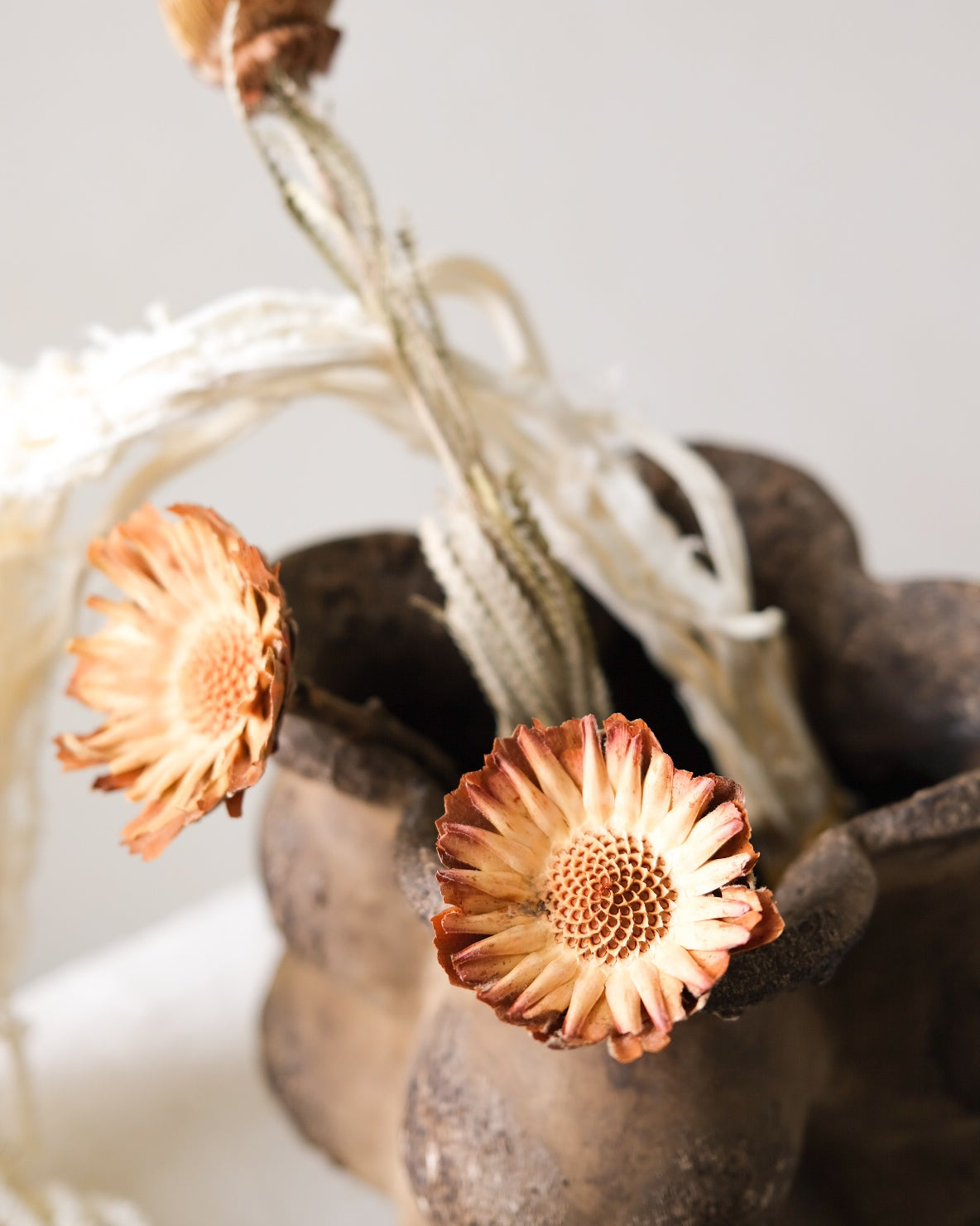 Dried Sunflower