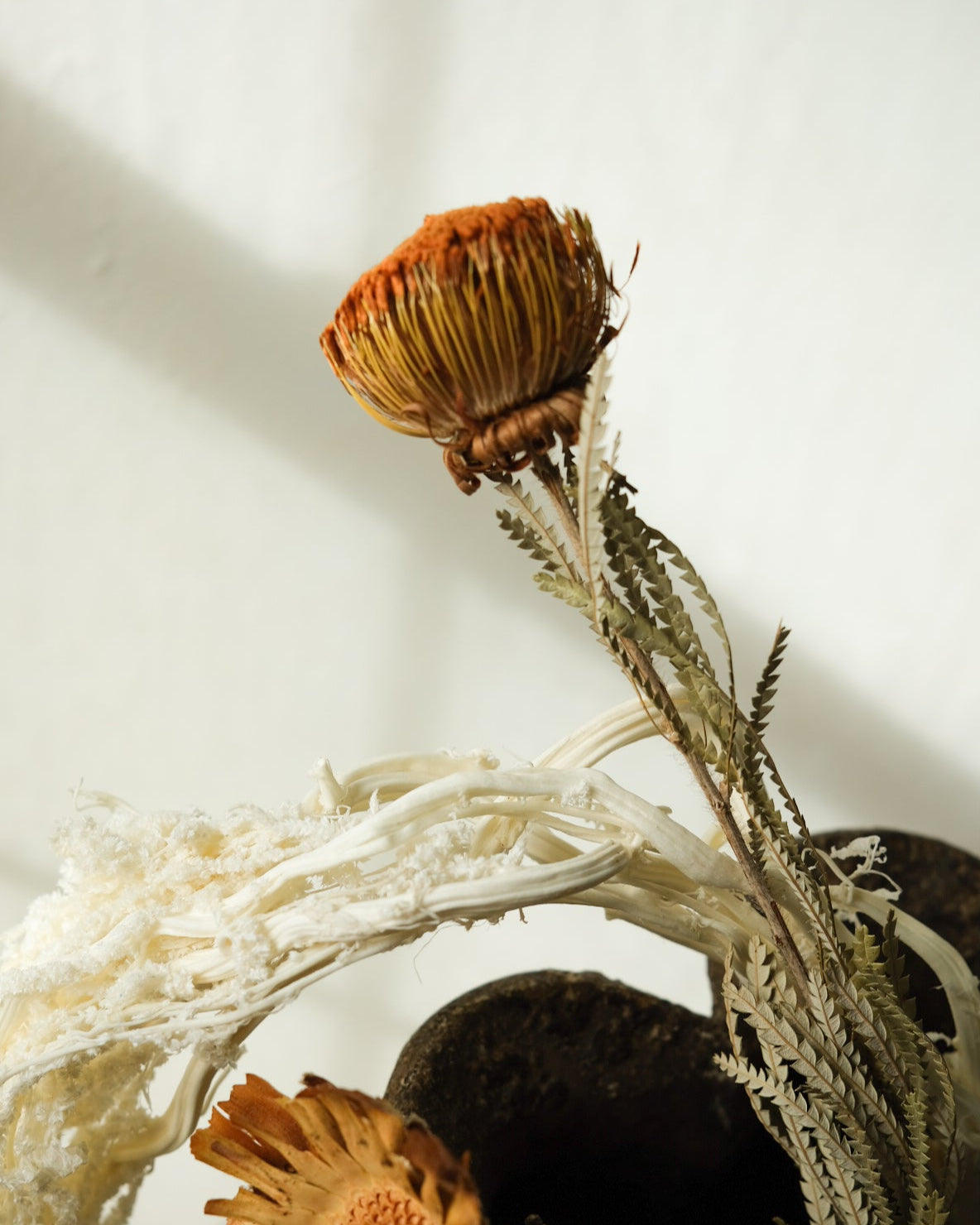 Dried Banksia Foliage