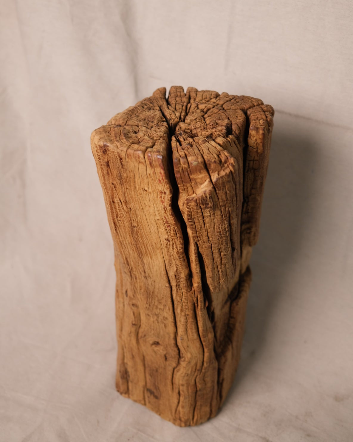 (III) Wood Stump Stand