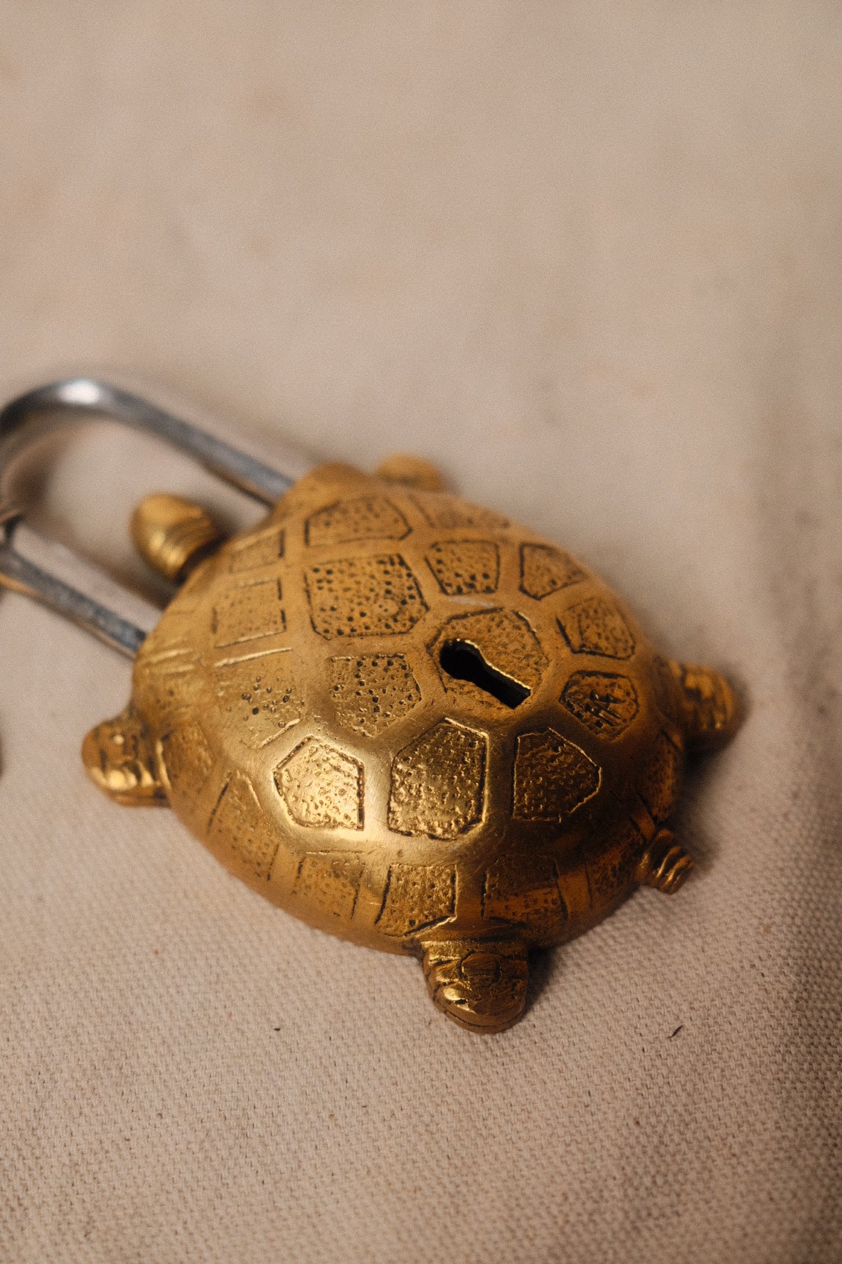 Gold Lock (Turtle)
