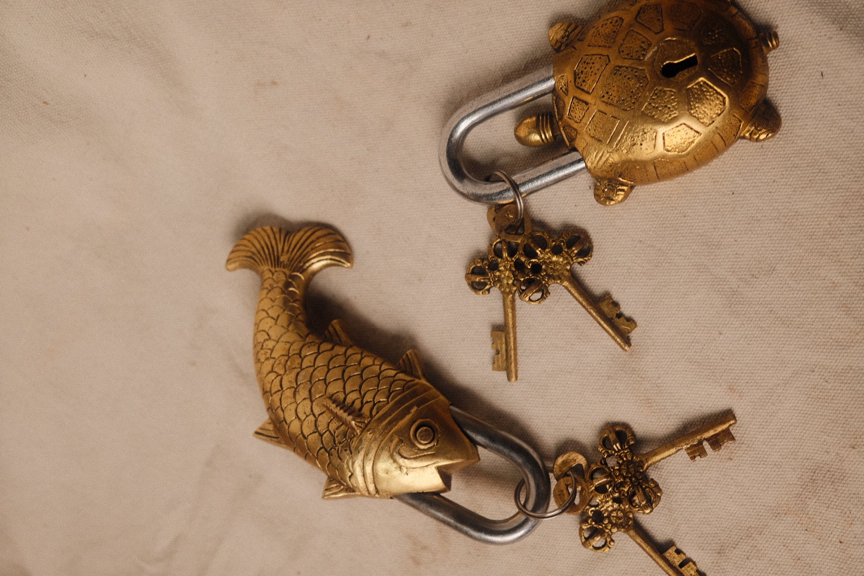 Gold Lock (Turtle)