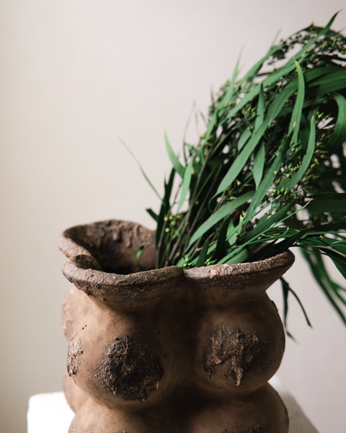 Dried Eucalyptus Long Leaves