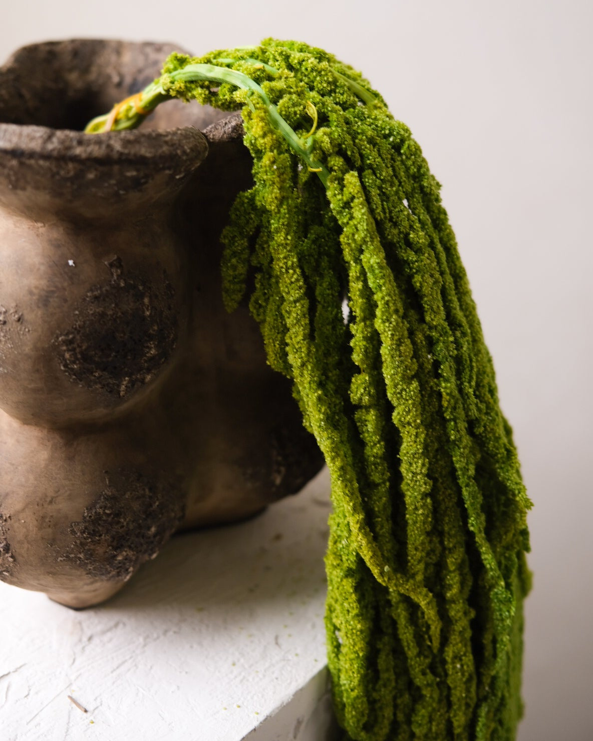 Dried Amaranthus (Green)