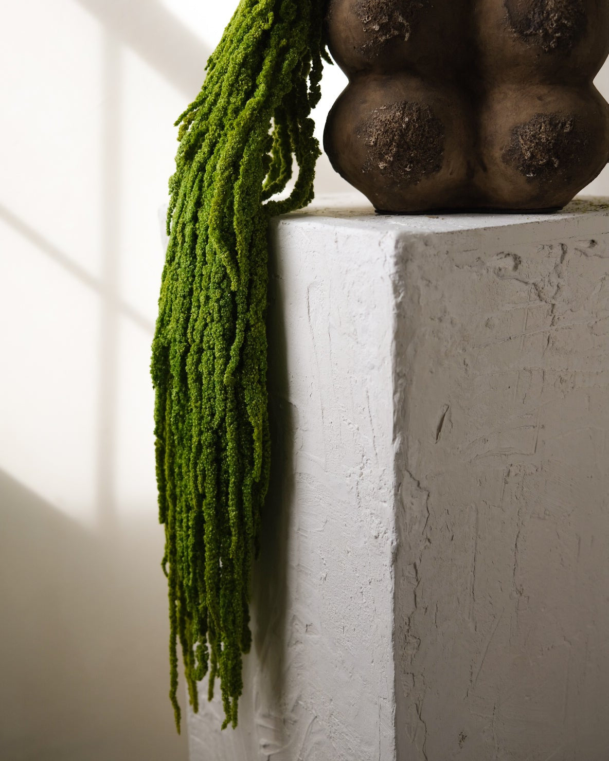 Dried Amaranthus (Green)