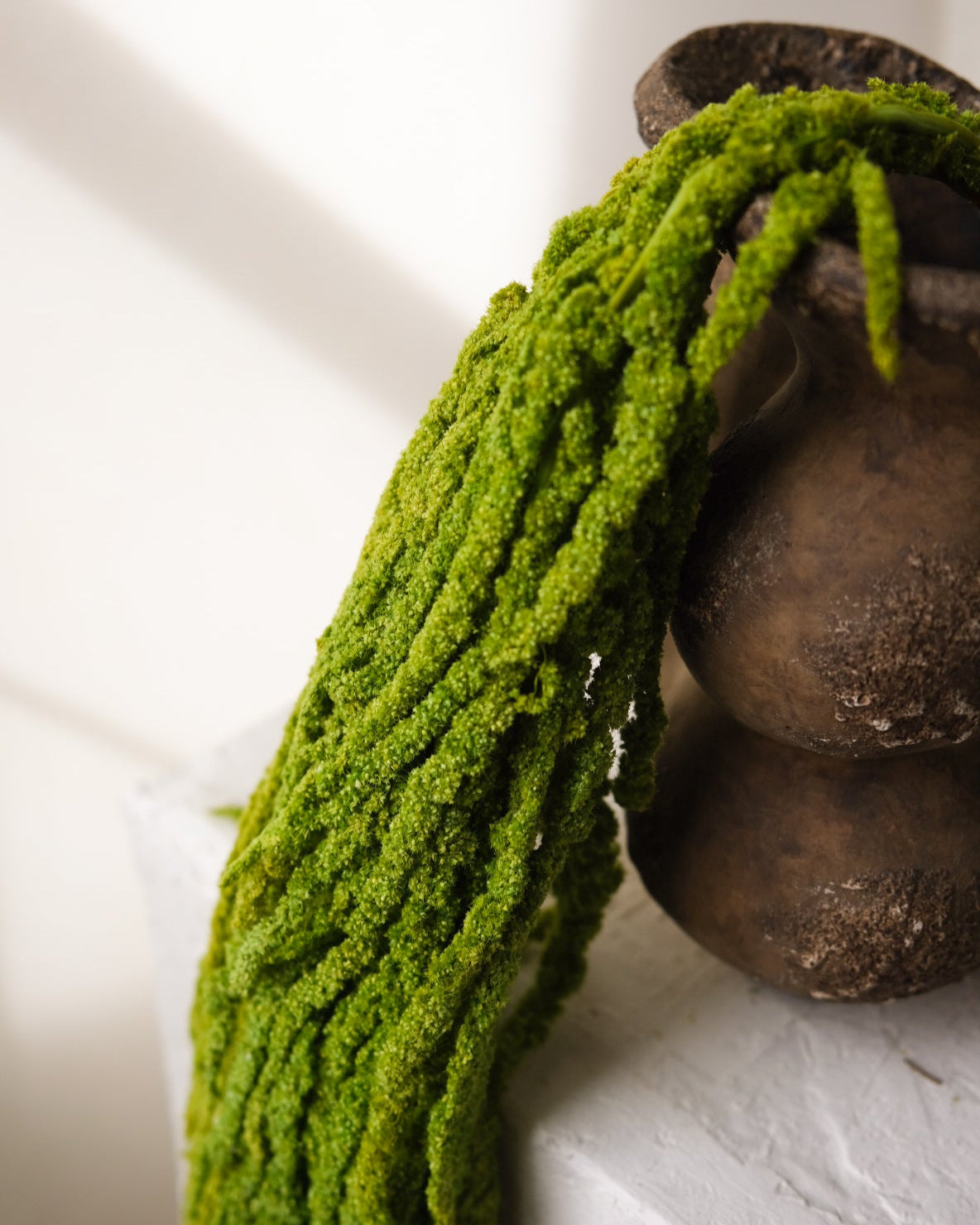 Dried Amaranthus (Green)