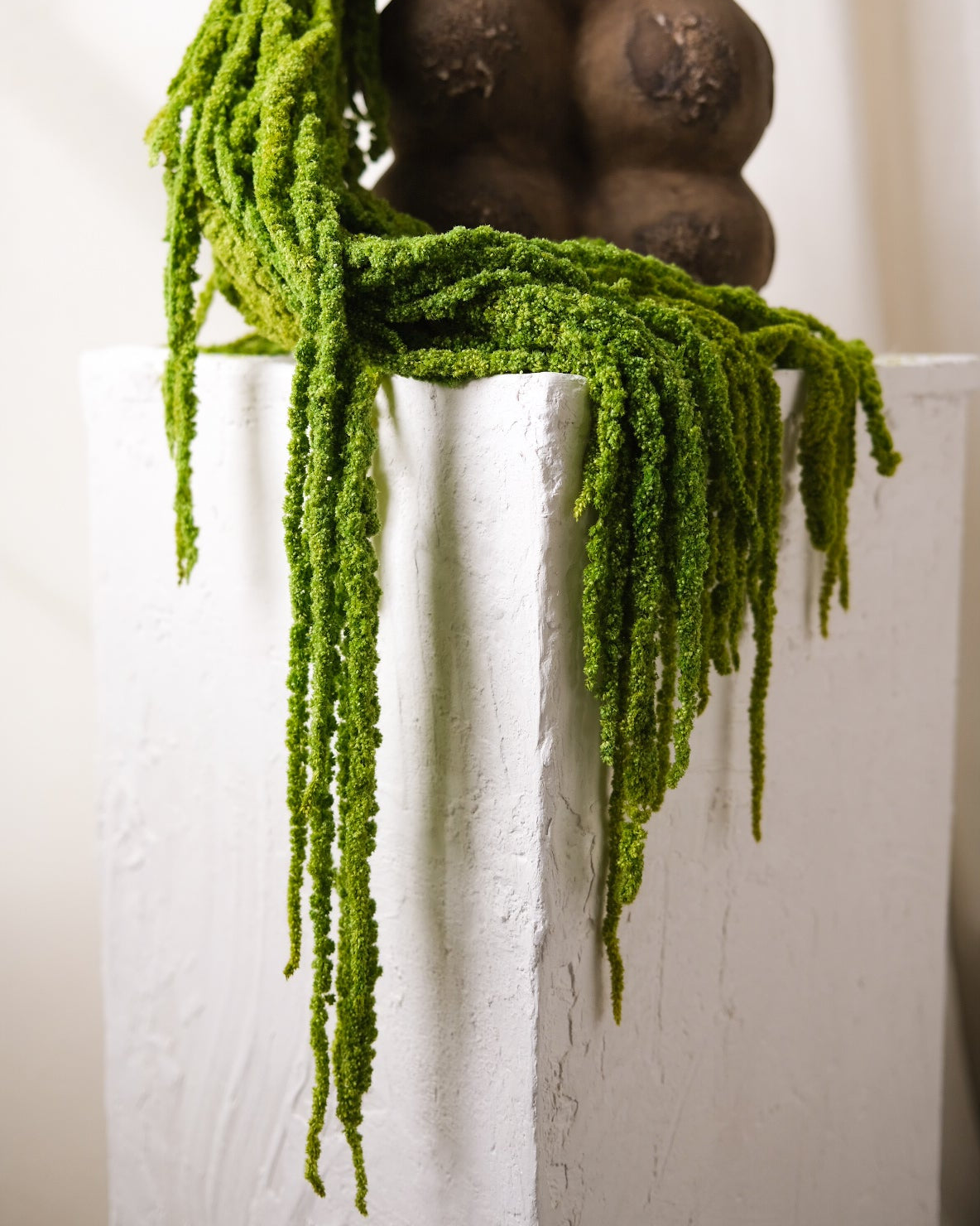 Dried Amaranthus (Green)