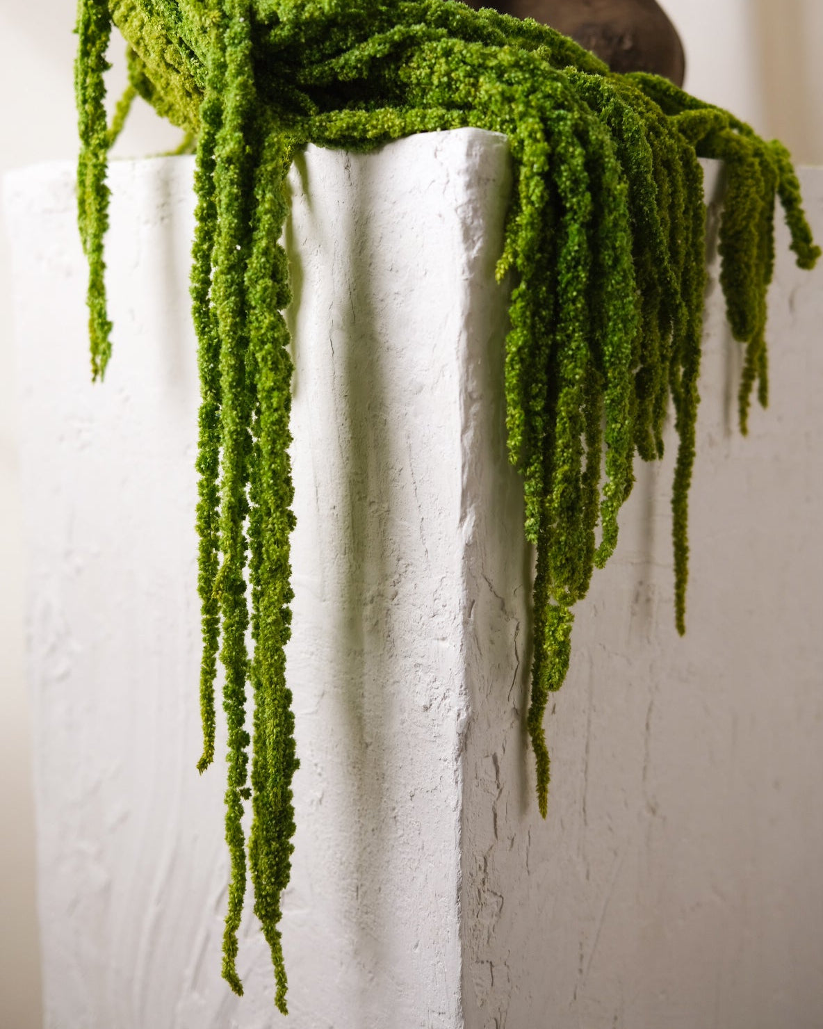 Dried Amaranthus (Green)