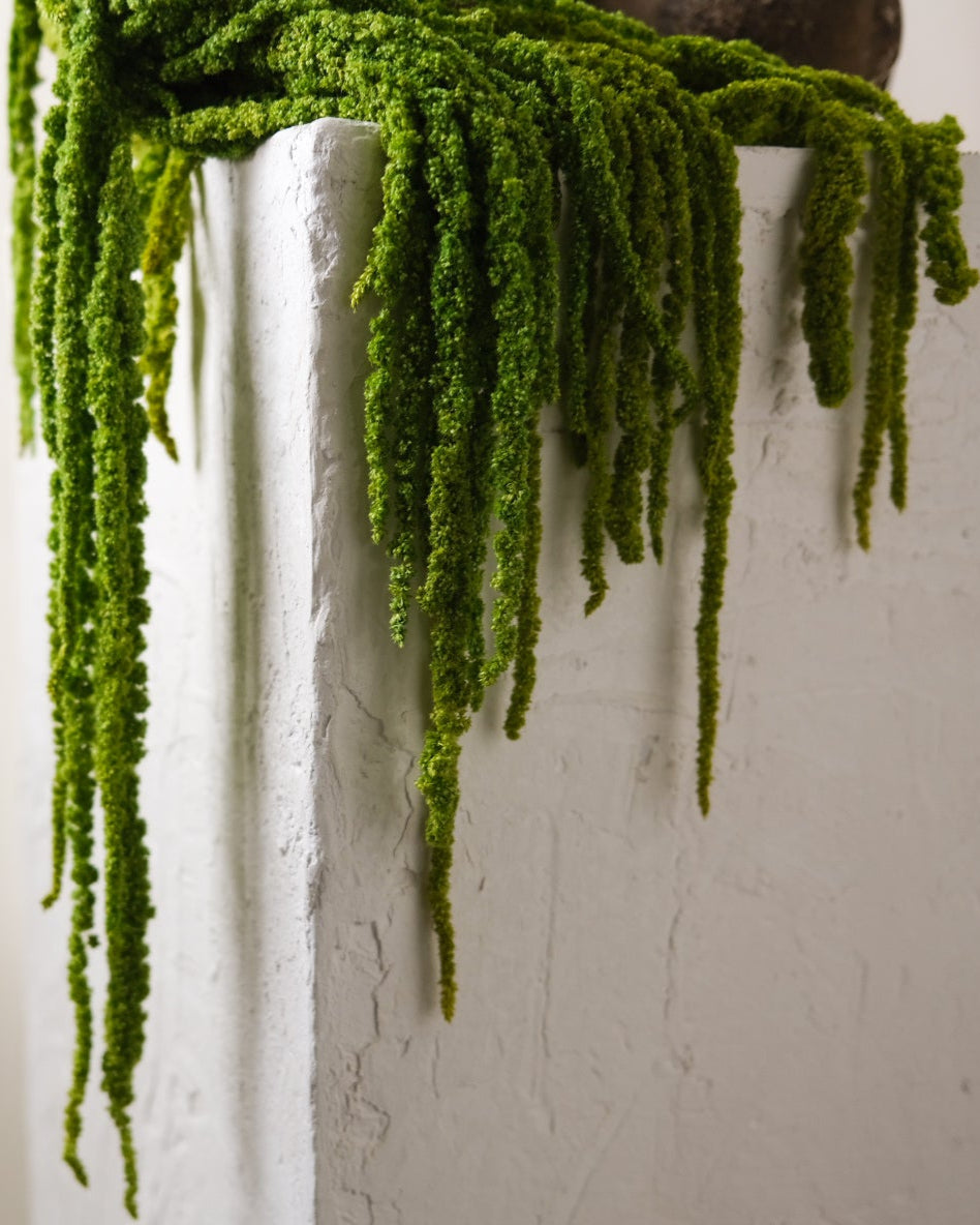 Dried Amaranthus (Green)