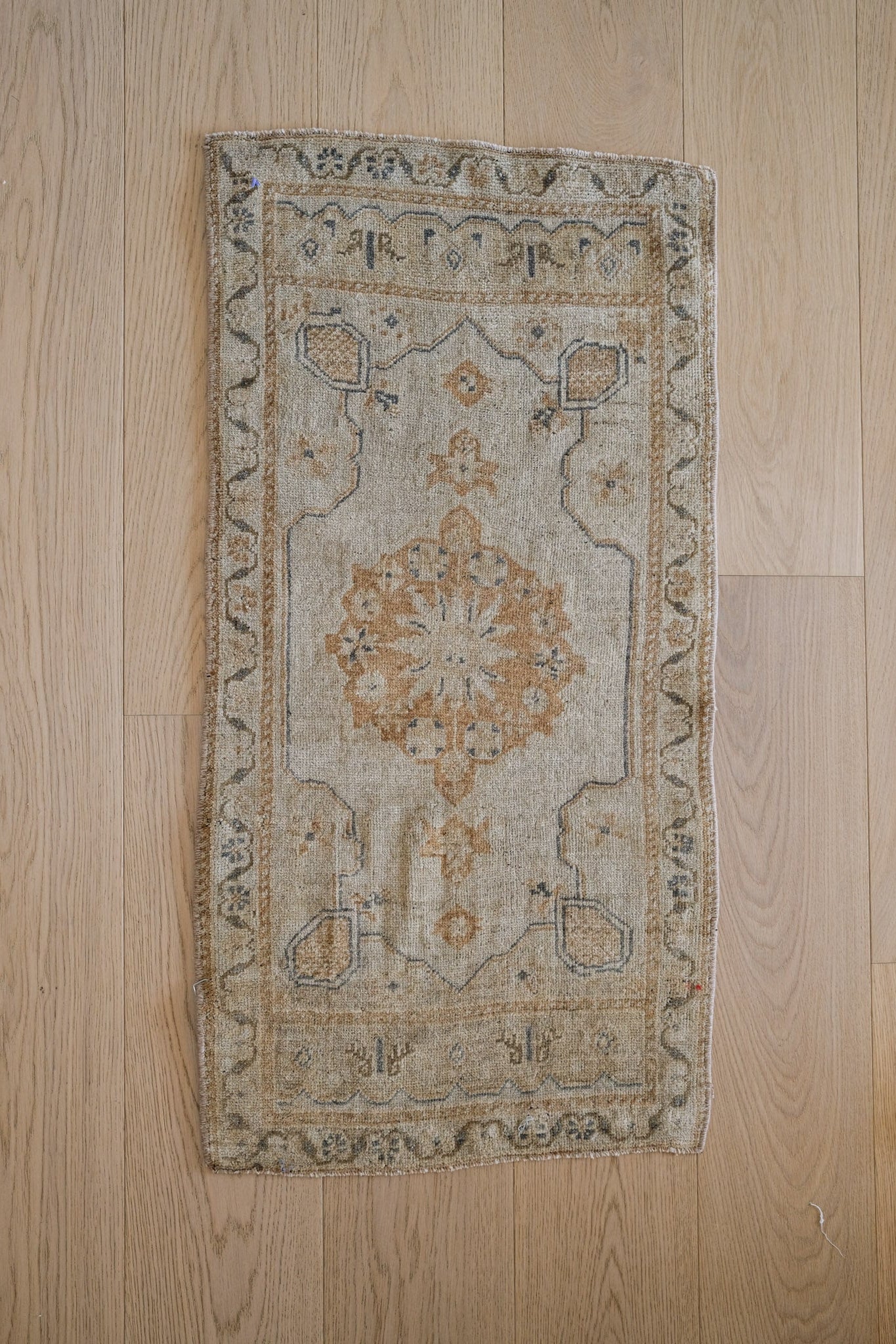 Malika Rug (20x40)