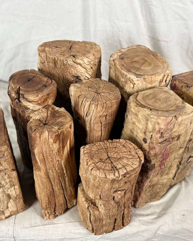 Wood Stump Stand